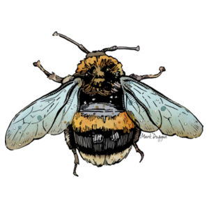 Hummel - Thread Project Kids Epic Tee Design