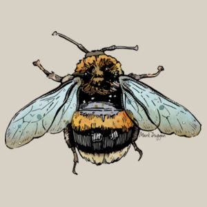 Hummel - AS Colour Womens Stencil Hood Design