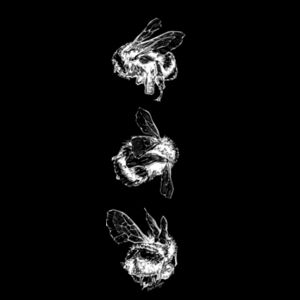 Bee Trio (Negative) - AS Colour Kids Youth T shirt Design