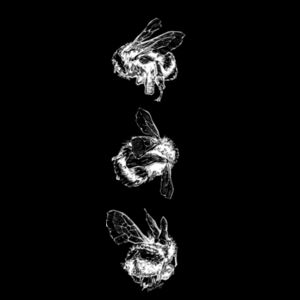 Bee Trio (Negative) - AS Colour Mens Stencil Hoodie Design