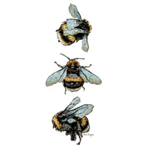 Bee Trio (Colour) - AS Colour Kids Youth T shirt Design