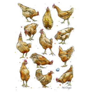 Bakers Dozen - Thread Project Womens Jazz Scoop Neck Tee Design