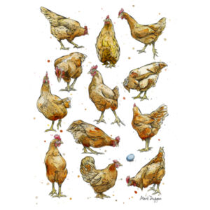 Bakers Dozen - AS Colour Mens Staple T shirt Design