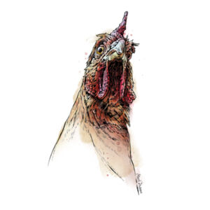 Huh? - AS Colour Kids Youth T shirt Design