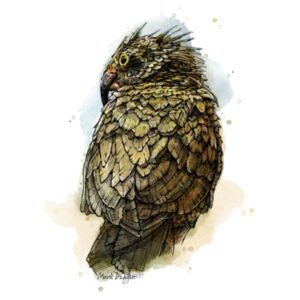 Milford Kea - Thread Project Womens Jazz Scoop Neck Tee Design