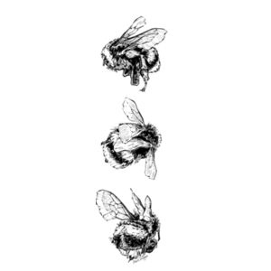 Bee Trio (Black) - AS Colour Womens Maple Tee Design