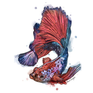 Betta Curve - Thread Project Womens Jazz Scoop Neck Tee Design