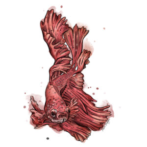 Betta Flow - AS Colour Kids Youth T shirt Design