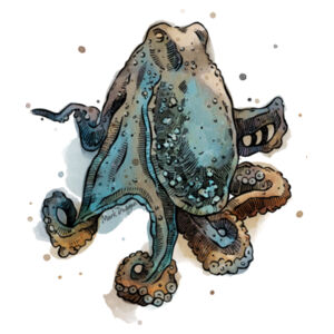 Oswald - AS Colour Mens Staple T shirt Design