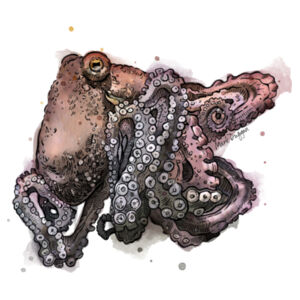 Tangled - AS Colour Mens Staple T shirt Design