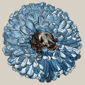 Blue Bee - AS Colour Womens Stencil Hood Design