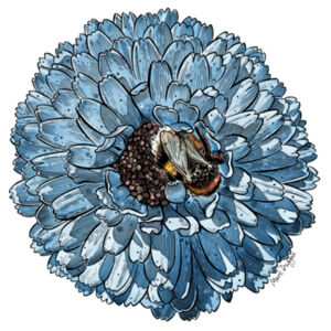 Blue Bee - AS Colour Mens Stencil Hoodie Design