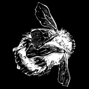 Negative Bee - AS Colour Kids Youth T shirt Design