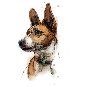 Roxy the Foxy - Tea Towel Design