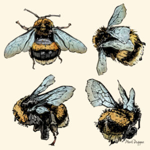 Quad Bees - AS Colour Carrie Tote Bag  Design