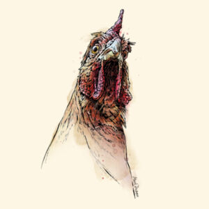 Huh - AS Colour Carrie Tote Bag  Design