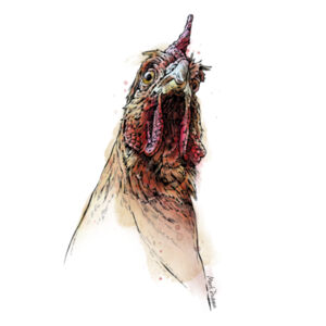 Huh? - AS Colour Womens Maple Tee Design